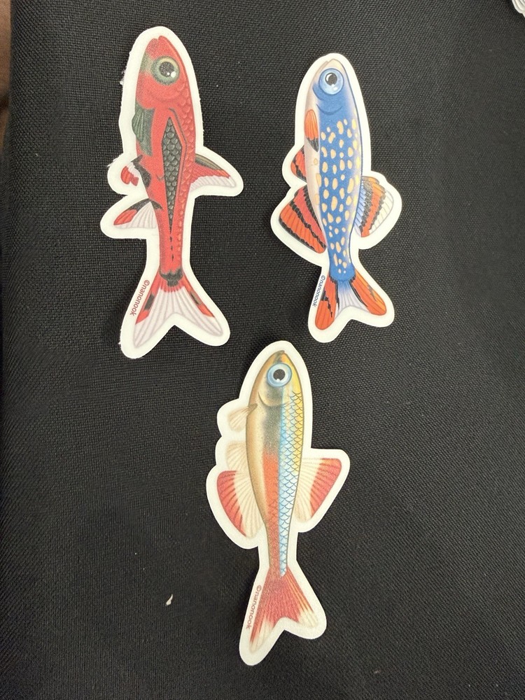 Nano Fish Stickers – Galaxy Rasbora – Chili Rasbora – White Cloud Minnow