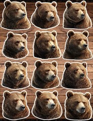 Brown Bear Head Die Cut Vinyl Stickers Set Scrapbooking Laptop Waterbottle