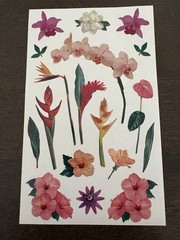 Vintage Mrs. Grossman’s Flowers and Bows 6 sheets 4×6