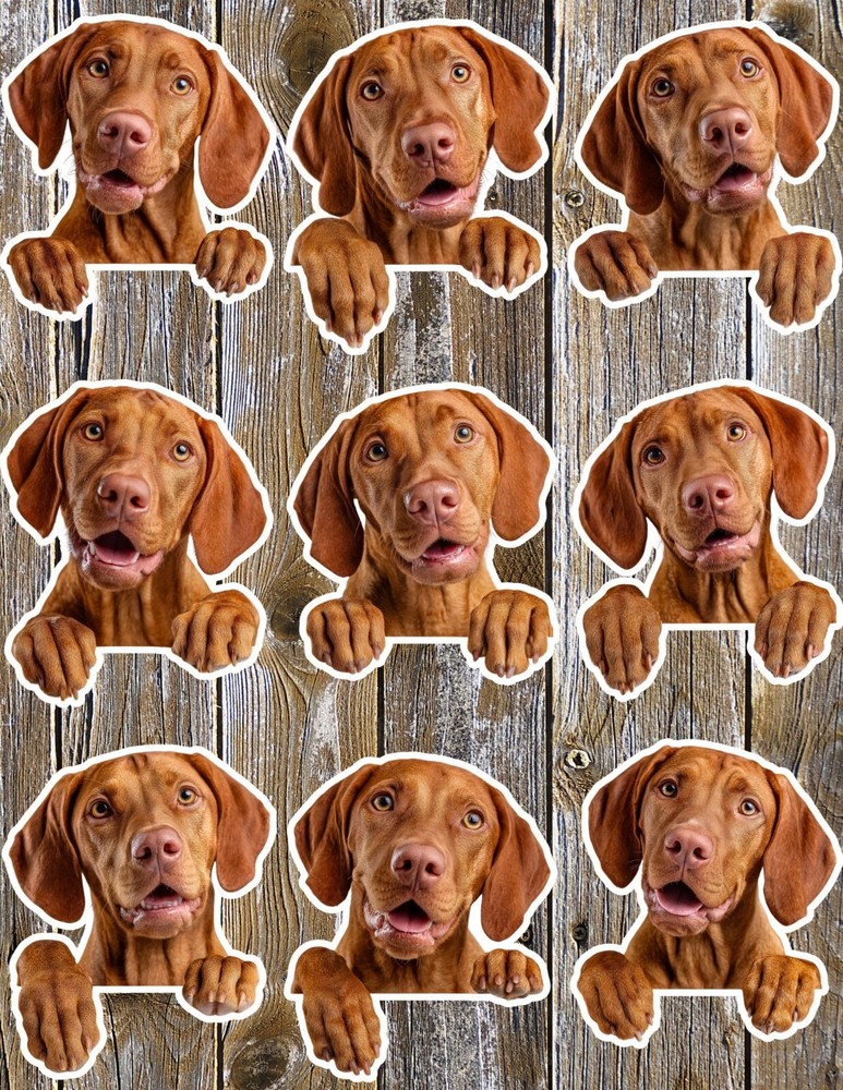Peeking Vizsla Dog Die Cut Vinyl Stickers Set Scrapbooking Laptop Water Bottle
