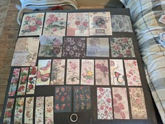 Nature Imprint Scrapbook Set Washi Stickers, Pet Stickers Memo Pad 5 Sheets Eph