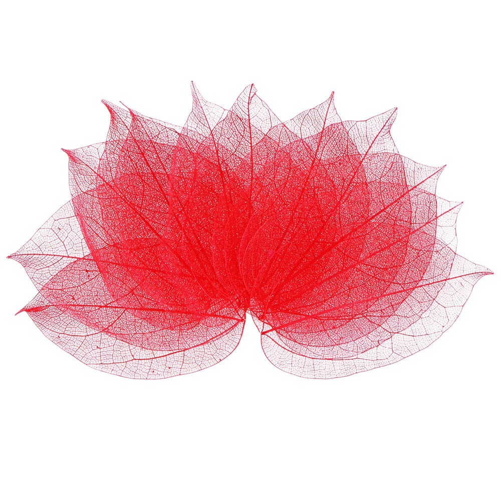 100-Pack Skeleton Leaves, Natural Rubber Tree Leaves Vein[7-9cm, Red]