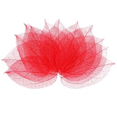 100-Pack Skeleton Leaves, Natural Rubber Tree Leaves Vein[7-9cm, Red]