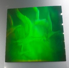 VTG Polaroid 3-D 90’s Holograms Prototypes Seagulls / Birds in Flight 3.25×3.25″