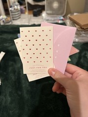 Crafter’s Square Classic Scrapbooking Lot Stickers Ribbon Paper Flowers Hearts