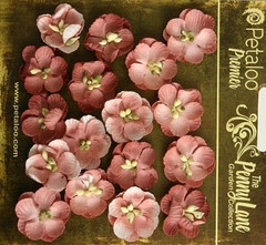 Forget Me Nots ANTIQUE ROSE 16 Paper Flowers 20mm across Penny Lane Petaloo XC
