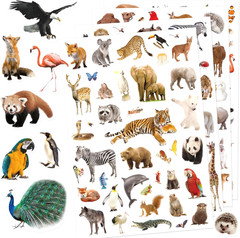 Wild Animals Stickers 750 Count Jungle Safari Woodland Zoo Creatures