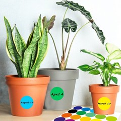 Dot Label Stickers 2 Inch 500 Large Circle Colored Round Self-Adhesive Solid …