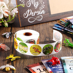 600 Pcs Insect Stickers Decals for Kids, 1.38 Inch Classroom Teaching Supplies