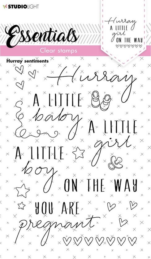 STUDIO LIGHT CLEAR – ACRYLIC STAMPS – HURRY SENTIMENTS