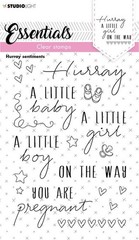 STUDIO LIGHT CLEAR – ACRYLIC STAMPS – HURRY SENTIMENTS