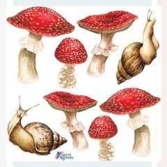 Violette Stickers – Mushrooms & Snails – 1 Woodland Sticker Sheet – Scrapbooks