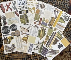 Anna Griffin For The Boys 300 Die Cuts Paper Ephemera Set Folio Mint