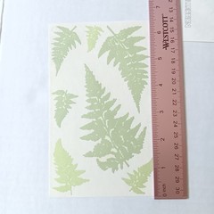 Lot of 3 Mrs. Grossman’s Vellum Collection Green Giant Velum Ferns Stickers