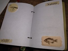 Pond Life Junk Journal Scrapbook USA Seller