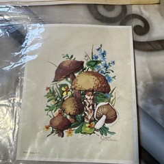 Vintage 1971 traditional Mushroom Transfer Rub On Stickers decal only 1 image