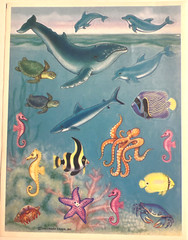 Vintage Hallmark Sea Life Stickers – Heartline: Ocean Creatures Whale Fish Shark