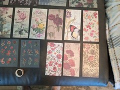 Nature Imprint Scrapbook Set Washi Stickers, Pet Stickers Memo Pad 5 Sheets Eph