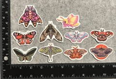 Lot of 10 Assorted Nature Moth Butterfly Butterflies Stickers