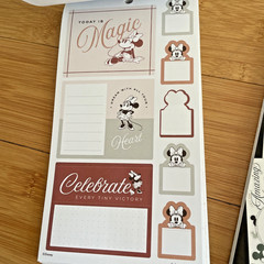 The Happy Planner – Disney – Mickey and Minnie Mouse Calendar Stickers
