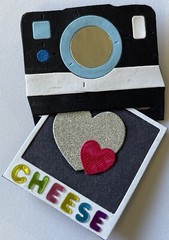 POLAROID CAMERA & PHOTO “PRE-MADE” Die-Cut Embellishment (2pc)Picture •Instant•