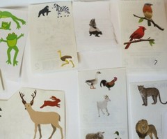 Mrs. Grossman Lot of Vintage Stickers Partials animals, birds, wildlife, frogs