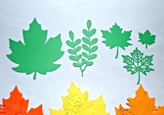 64 pcs Total Leaves & Leaf Die Cuts Pieces Assorted Designs Handmade Fall Colors