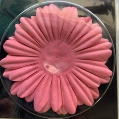 Vintage Heidi Swapp Florals DAISY Flower Dark Pink 12 Layers Scrapbooking Crafts