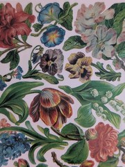 9 Pkgs John Grossman Naturally Gifted Stickers Shells Butterflies Flowers Sealed