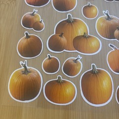 Pumpkin Stickers Realistic Halloween Thanksgiving Fall Autumn Clear Sheet Vtg