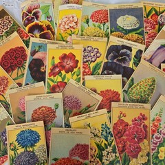25 Random Antique French Flower Seed Labels