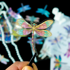 30PCS Holographic Dragonfly Stickers – Gold Foil Insect Clear Scrapbook Decals f