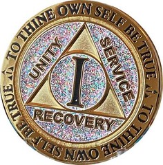 1 Year AA Medallion Reflex Birthday Funfetti Silver Glitter Gold Plated Chip