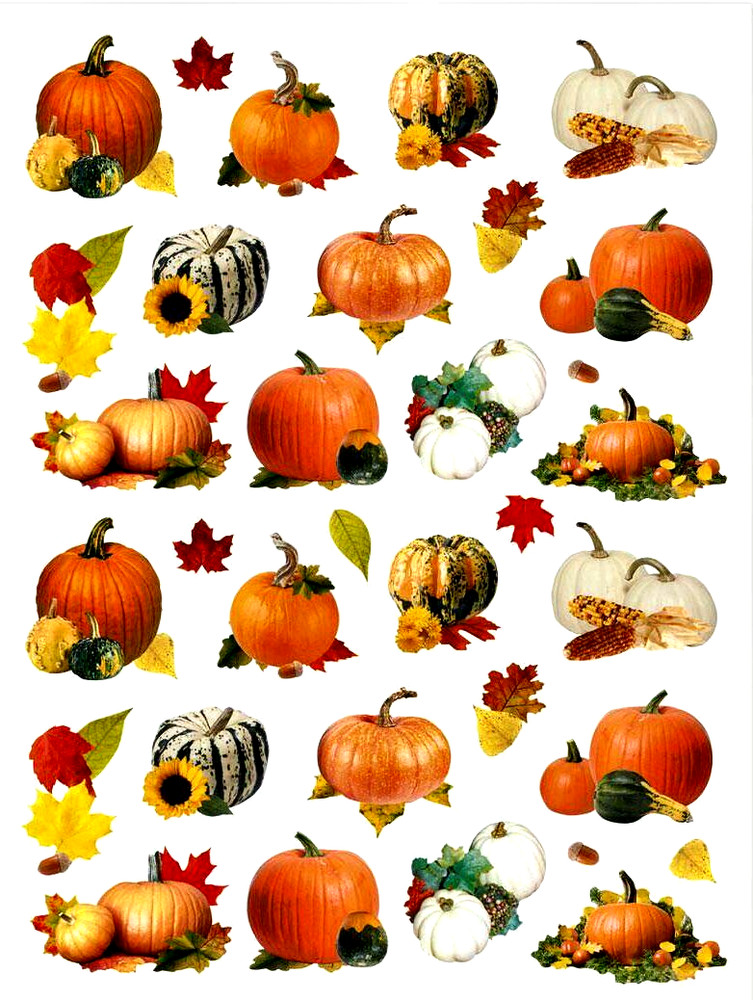 3/4″- 2 1/4″ LOVELY FALL THANKSGIVING PUMPKIN LEAVES PHOTO STICKERS USA MADE #48