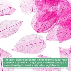 100-Pack Skeleton Leaves, Natural Rubber Tree Leaves Vein[7-9cm, Rose Red]