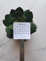 2023, 2024, or 2025 Micro Calendar Stickers for Planners and Journals
