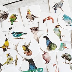 45PCS Cute Bird Stickers – Kawaii Craft Scrapbooking Planner Diary Stickers