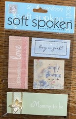 Soft Spoken MOMMY TO BE Mom Showered In Love Pregnant Pregnancy Glowing Boy Girl