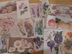 30+ Pieces Floral Vintage Ephemera, Flowers, Botanical Junk Journal, Collage