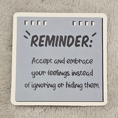 Accept Embrace Your Feelings Reminder Sticker Mental Health Affirmation Decal