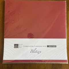 Basic Grey Blitzen 12 x 12 Scrapbook Collection Kit & Coordinating Bazzill Paper