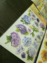 Lot Of 4 Packages Of Flower Crafters Square Pop Up Stickers Scrapbooking NEW #4