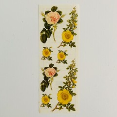 Anna Griffin Decorative Papers Sticker Collection