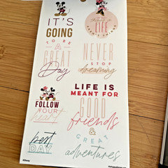 The Happy Planner – Disney – Mickey & Minnie Mouse Calendar Stickers 2