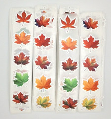 30 Fall Leaf Stickers/Scrapbooking/Planners/Crafts/Journals/up to 0.9 inches