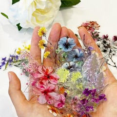 50PCS Transparent Flower Stickers, Cute Vintage Floral Sticker for