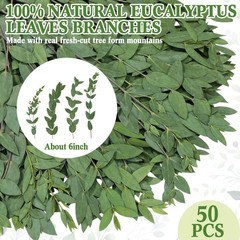 Wavwavw 50 Pcs Pressed Dried Eucalyptus Leaves 6 Inch 100% Natural Preserved …