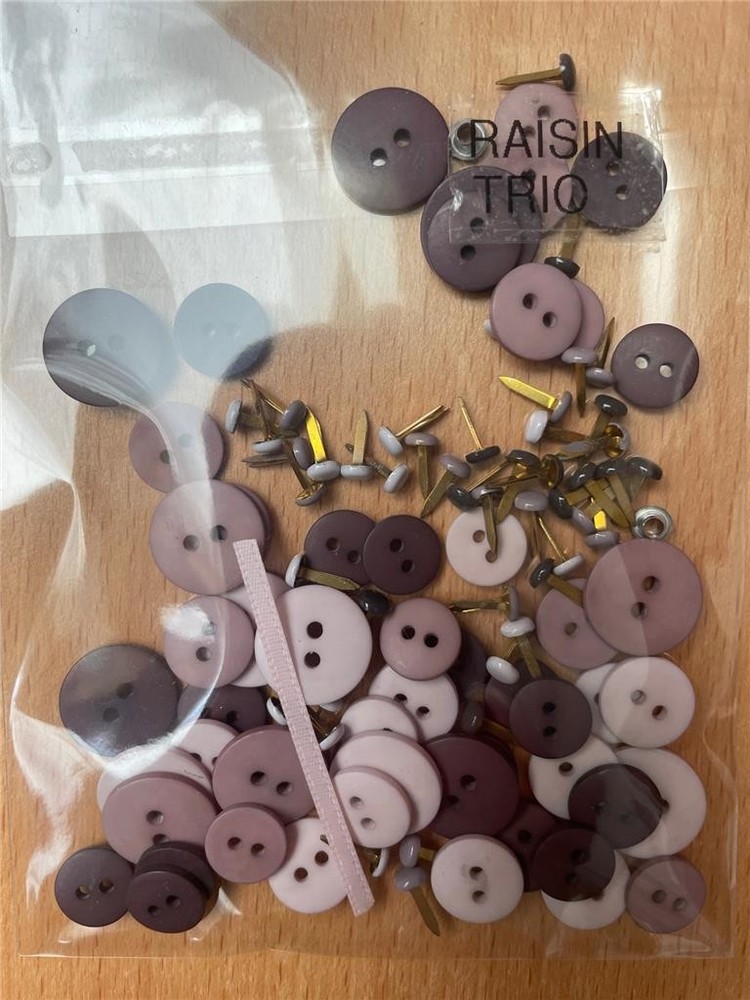 VINTAGE BAZZILL RAISIN TRIO BUTTONS AND BRADS Embellishments
