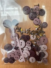 VINTAGE BAZZILL RAISIN TRIO BUTTONS AND BRADS Embellishments