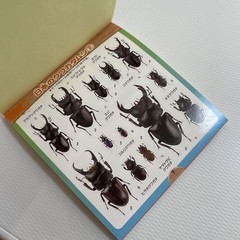 Beetle and Stag Beetle Japanese Stickers book 275 Stickers Shogakkan Neo JP